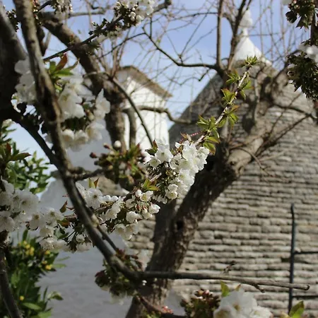 Trullo Vicolo Fiorito Casa vacanze Alberobello